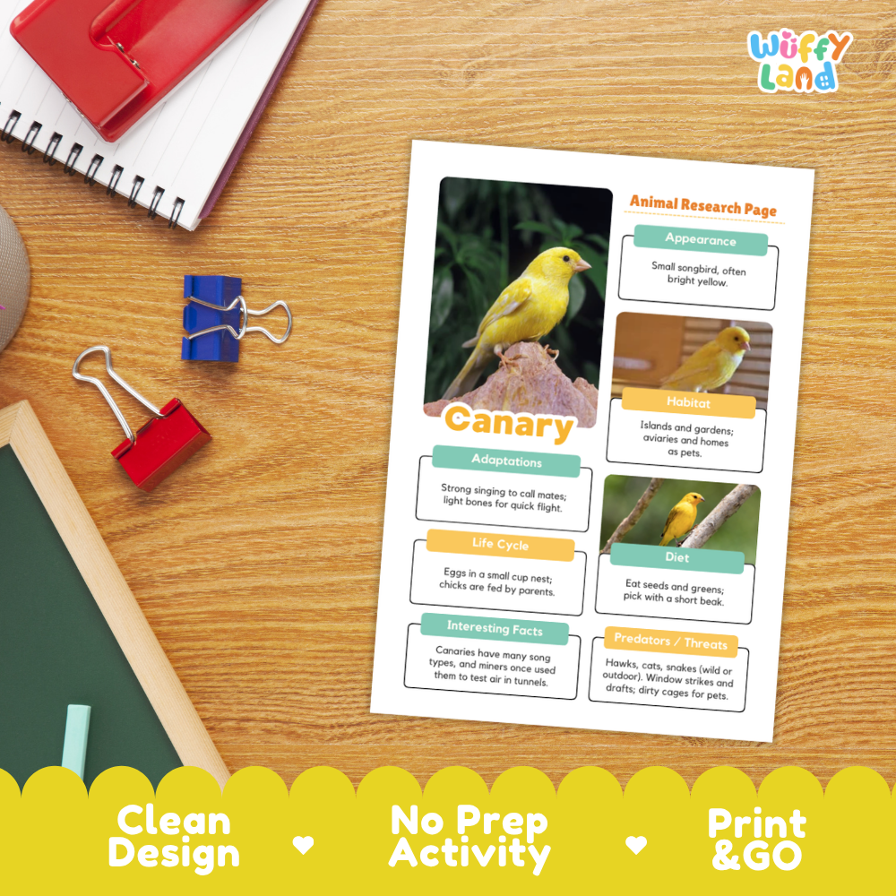 An educational animal research activity sheet titled 'Animal Research Page' featuring yellow birds, displayed on a wooden desk with school supplies. The sheet includes sections for Appearance, Habitat, Adaptations, Life Cycle, Diet, and Interesting Facts.
