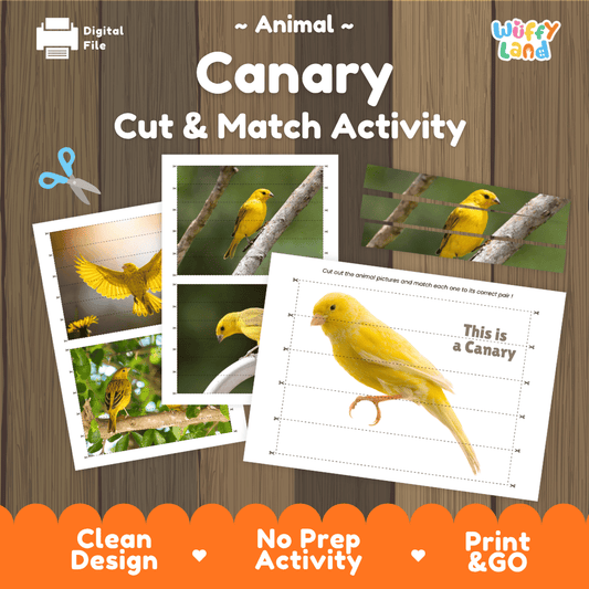 Canary Cut and Match Activity Worksheets | Animal Puzzle Printables