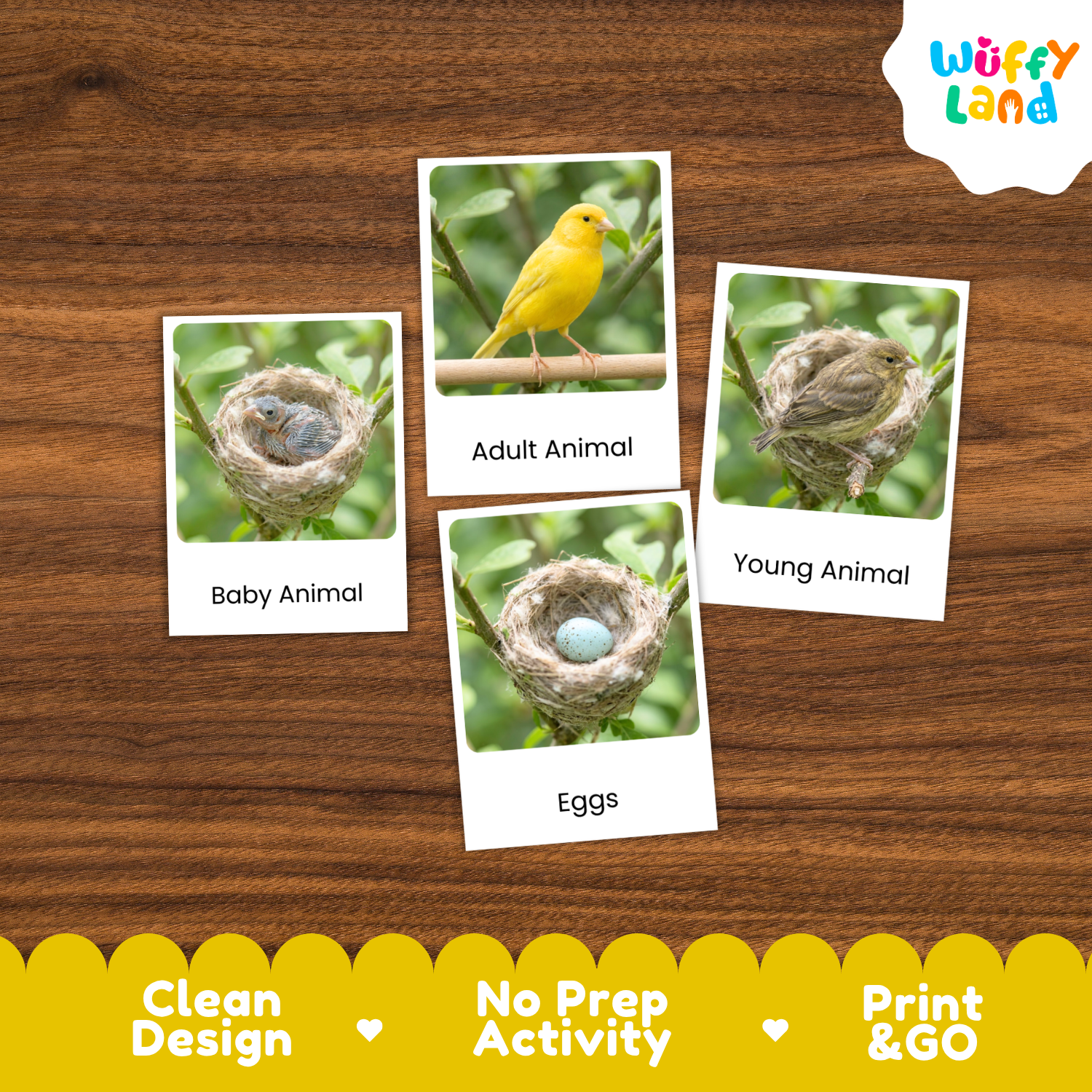 Five educational animal cards are arranged on a brown wood-grain background. The cards show labeled photos of a baby animal in a nest, an adult animal perched on a branch, young animals in a nest, eggs, and the Wuffy Land logo in the top right.
