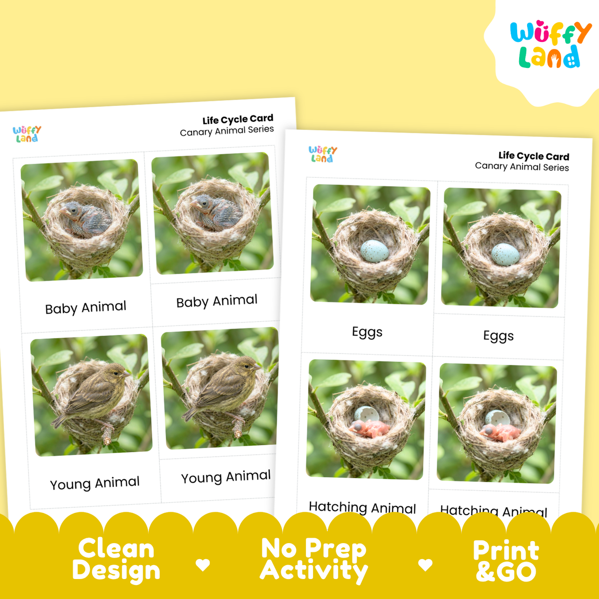 Two printed activity cards titled 'Life Cycle Card - Canary Animal Series' shown on a pale yellow background. The cards feature photos of bird nests at different developmental stages with labels such as Baby Animal, Eggs, Young Animal, Hatching Animal, and Canary Animal Series.