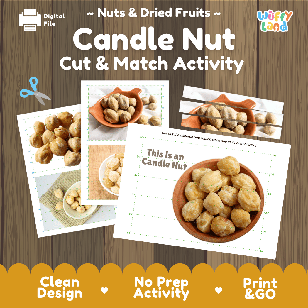 Candle Nut Cut and Match Activity Worksheets | Nuts and Dried Fruits Puzzle Printables