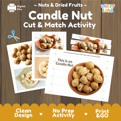 Candle Nut Cut and Match Activity Worksheets | Nuts and Dried Fruits Puzzle Printables