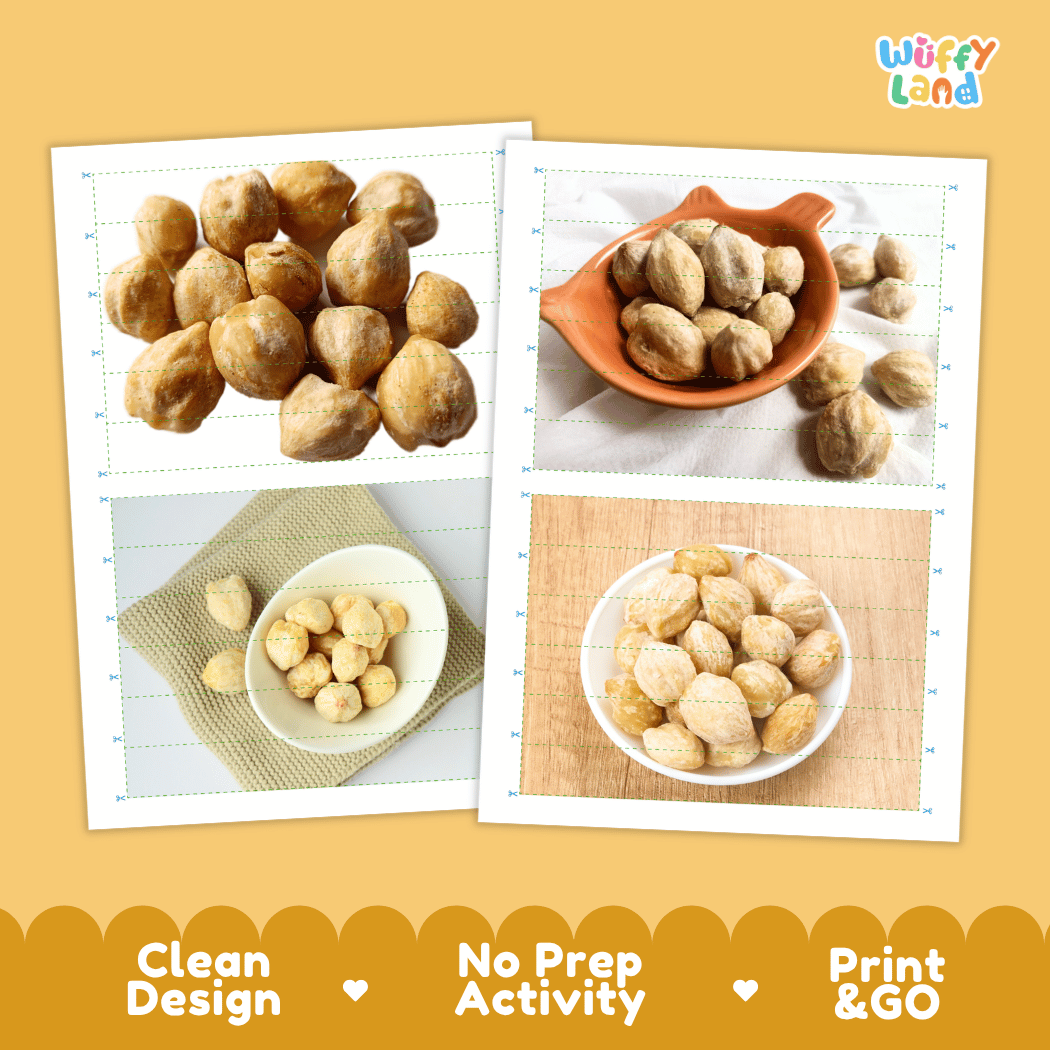 Candle Nut Cut and Match Activity Worksheets | Nuts and Dried Fruits Puzzle Printables