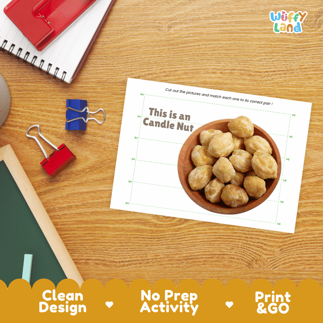 Candle Nut Cut and Match Activity Worksheets | Nuts and Dried Fruits Puzzle Printables