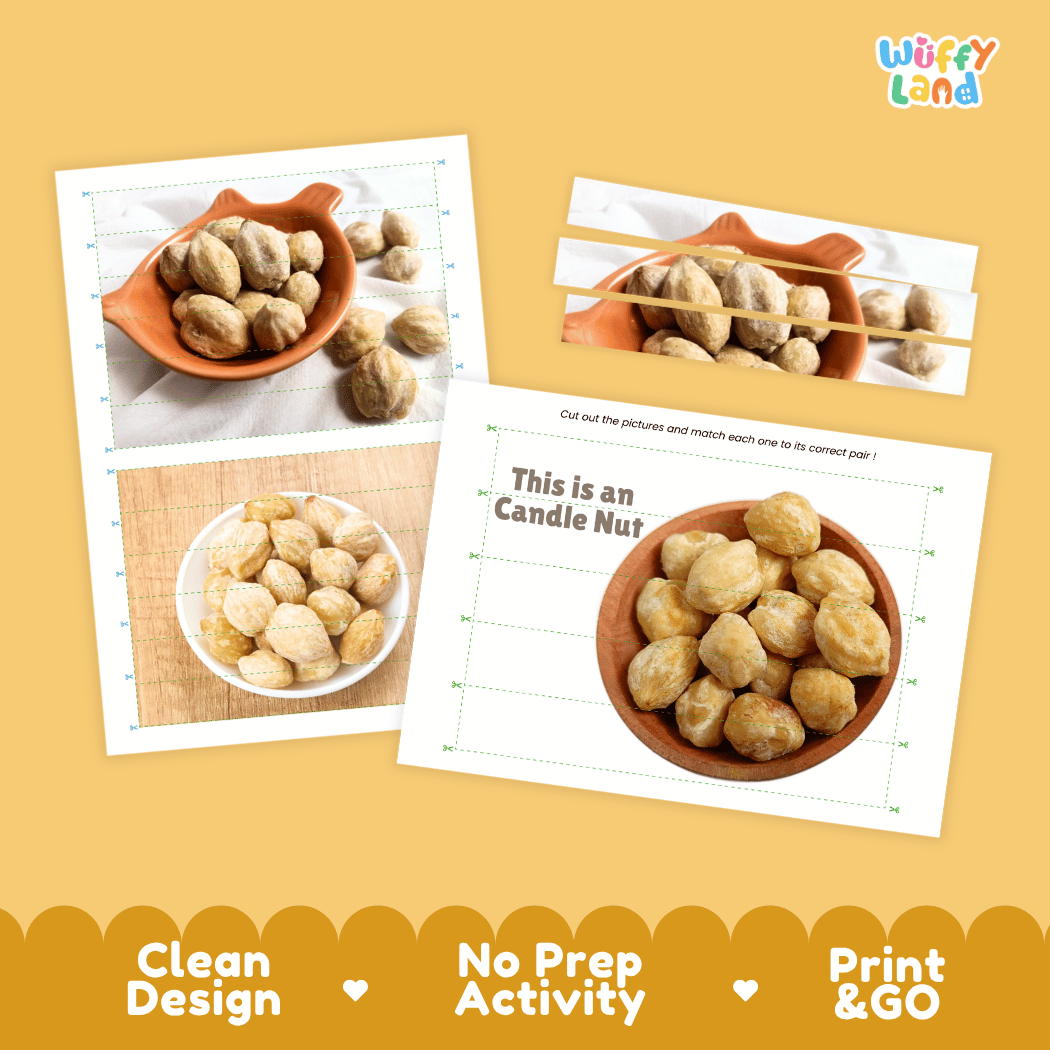 Candle Nut Cut and Match Activity Worksheets | Nuts and Dried Fruits Puzzle Printables