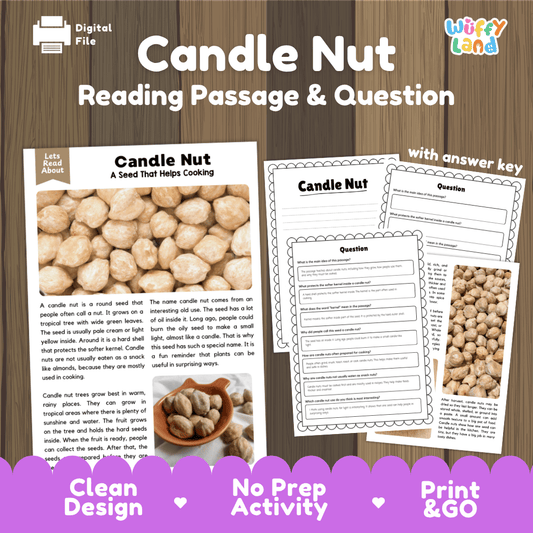 Digital reading activity sheet set titled 'Candle Nut Reading Passage & Question' with a sample passage, worksheet pages, and an answer key, shown on a wood-textured background with promotional text at the bottom.