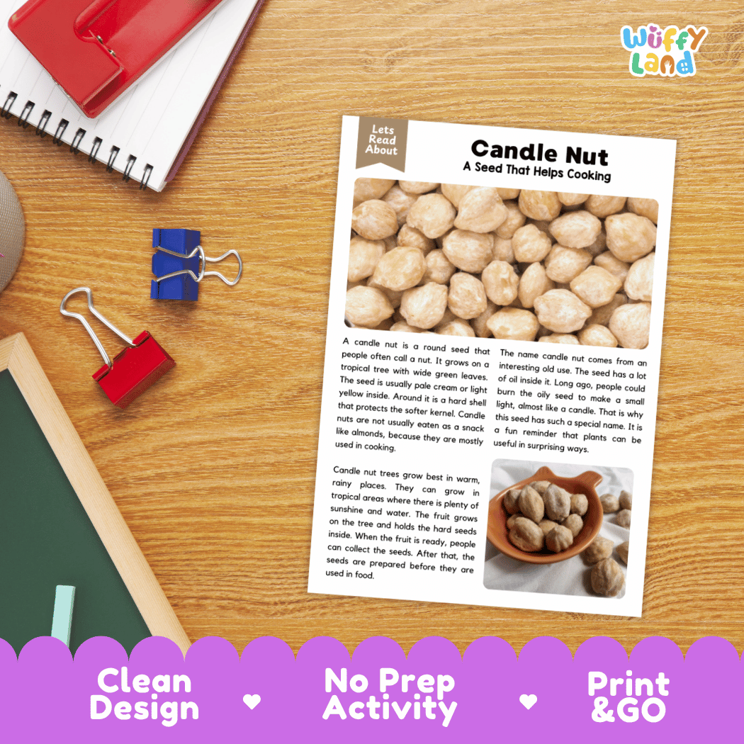 A printed educational activity sheet titled 'Candle Nut: A Seed That Helps Cooking' lies on a wooden desk. The sheet includes text, a small photo of candle nuts, and a 'Let's Read About' header.