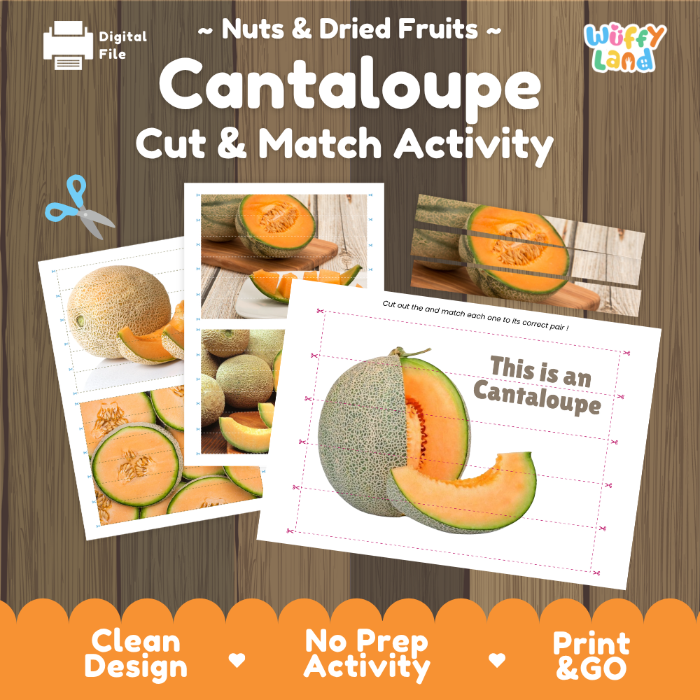 Cantaloupe cut and match activity cover showing printable fine motor puzzle sheets and melon photographs