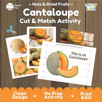 Cantaloupe cut and match activity cover showing printable fine motor puzzle sheets and melon photographs
