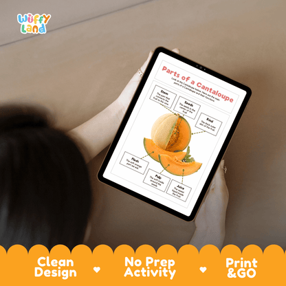 Hands-on cut and paste cantaloupe labeling worksheet featuring dashed cut-out word tiles, pointer lines, and scissors graphic