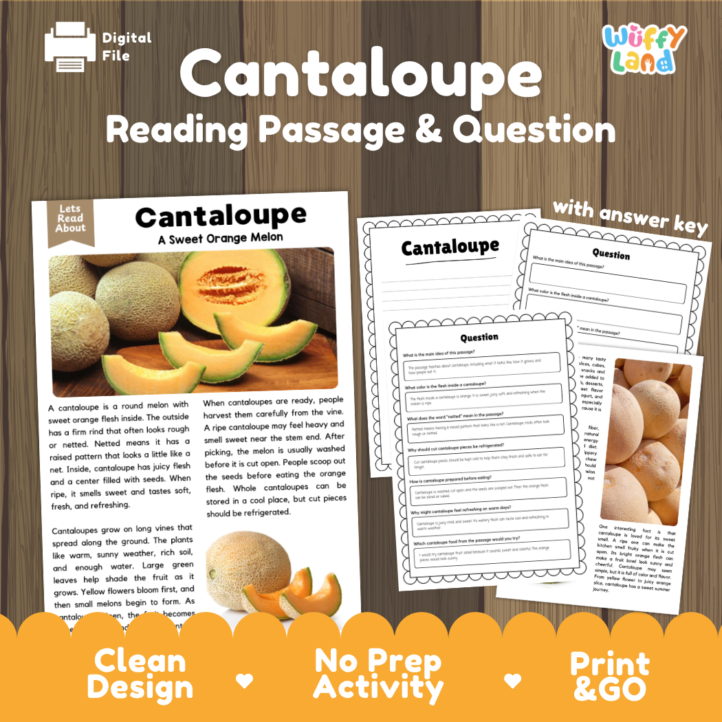 Cantaloupe reading comprehension passage and questions printable activity pack with answer key for elementary students
