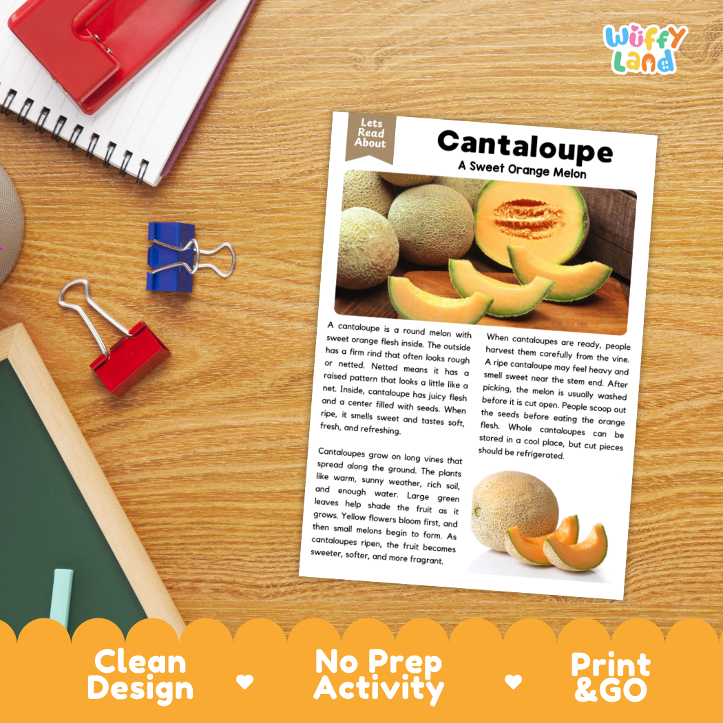Student reading comprehension worksheet with short-answer questions and lined sections about the cantaloupe fruit