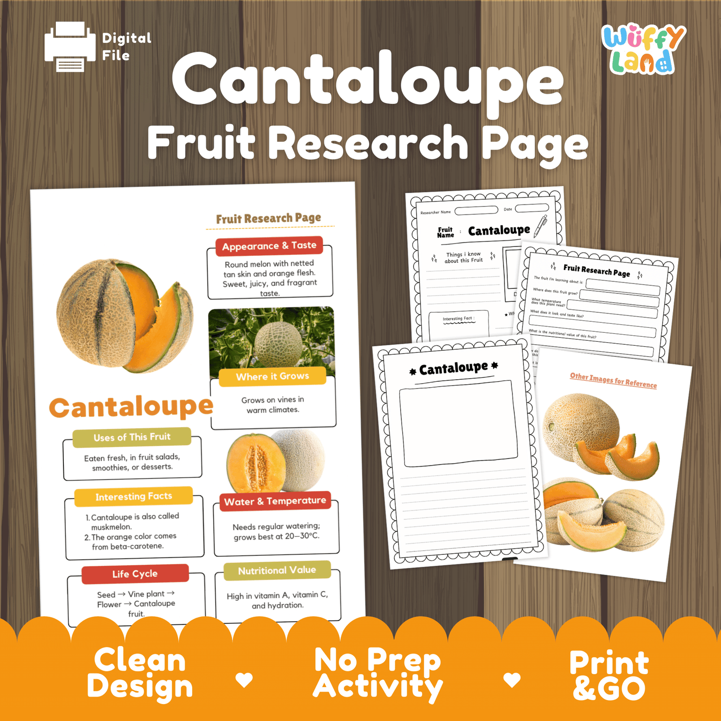Cantaloupe Fruit Research Page Worksheet Activity | Science Healthy Eating
