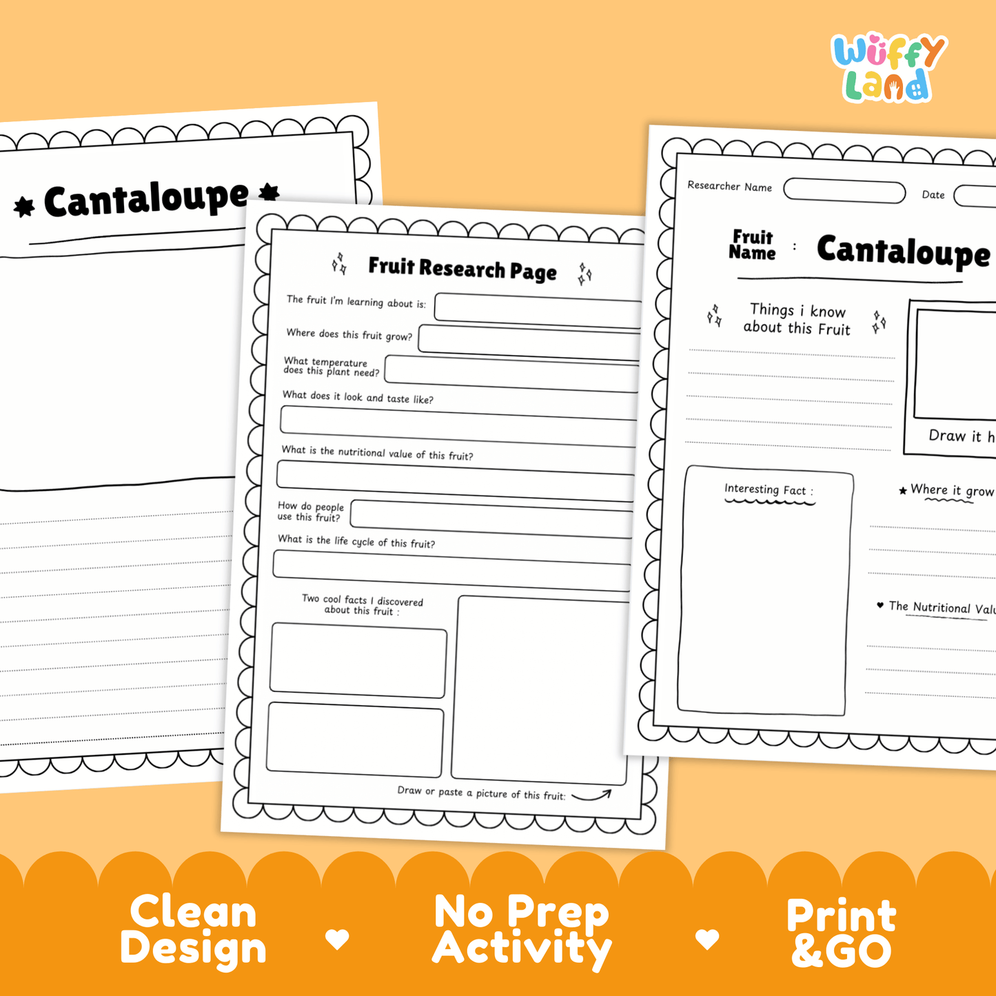 Cantaloupe Fruit Research Page Worksheet Activity | Science Healthy Eating