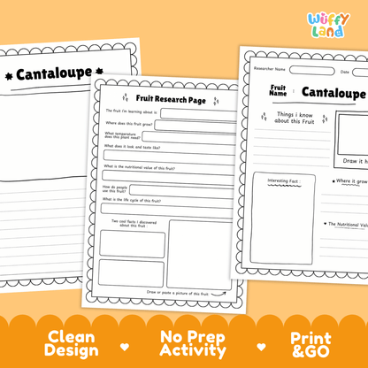 Cantaloupe Fruit Research Page Worksheet Activity | Science Healthy Eating