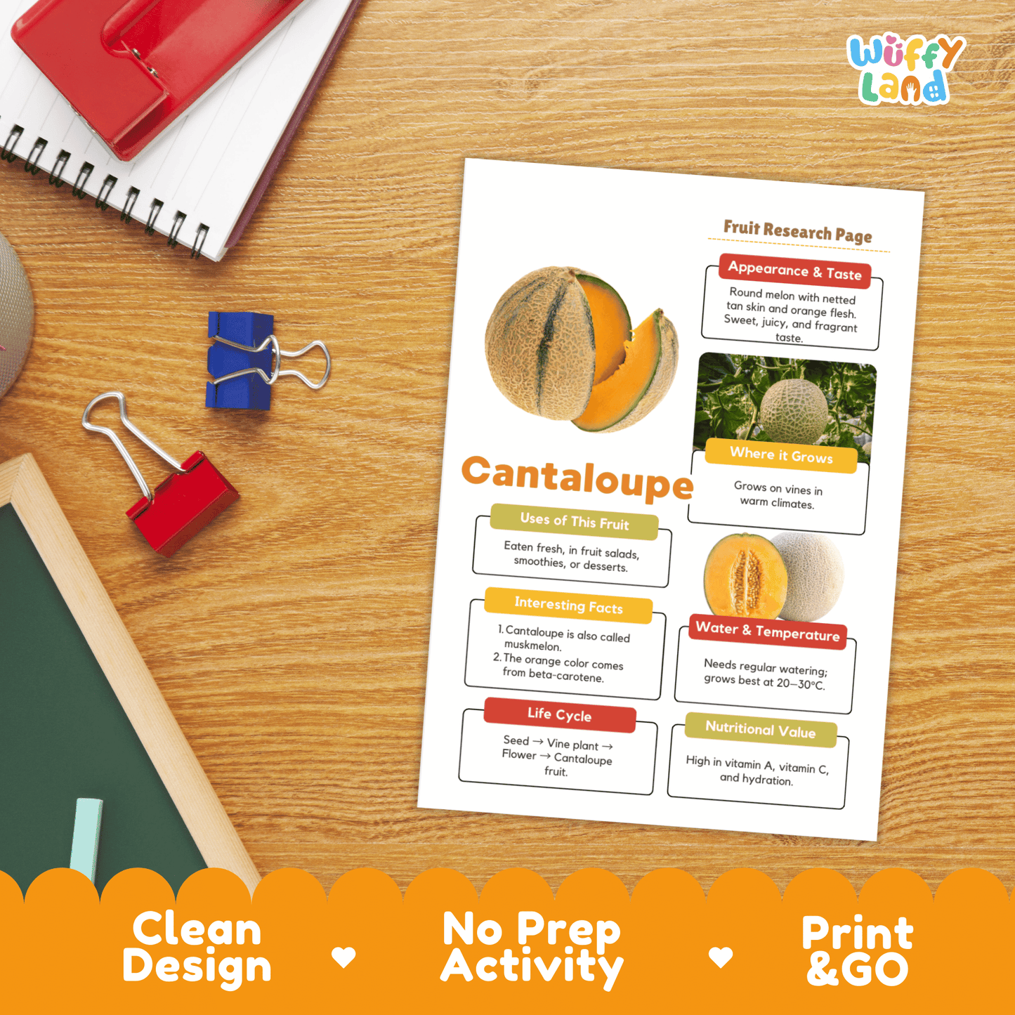 Cantaloupe Fruit Research Page Worksheet Activity | Science Healthy Eating