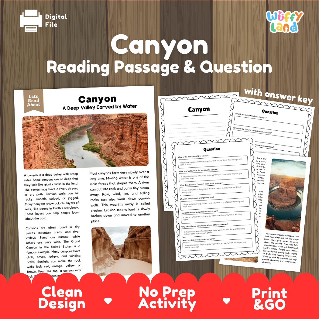 Digital reading activity product cover for 'Canyon Reading Passage & Question' by Wiffly Land, showing sample worksheet pages on a wood background with red banner text.