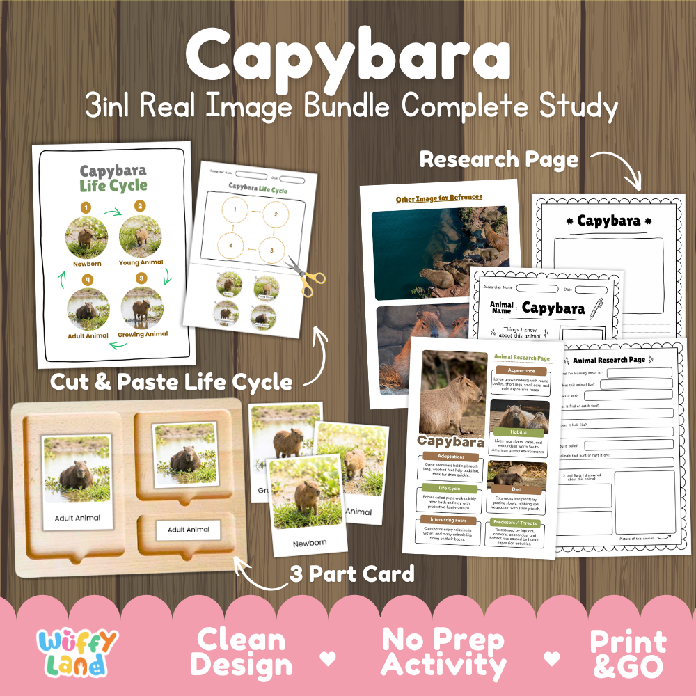 Capybara 3-in-1 real image bundle complete study cover showing cut and paste life cycle, 3 part cards, and research pages