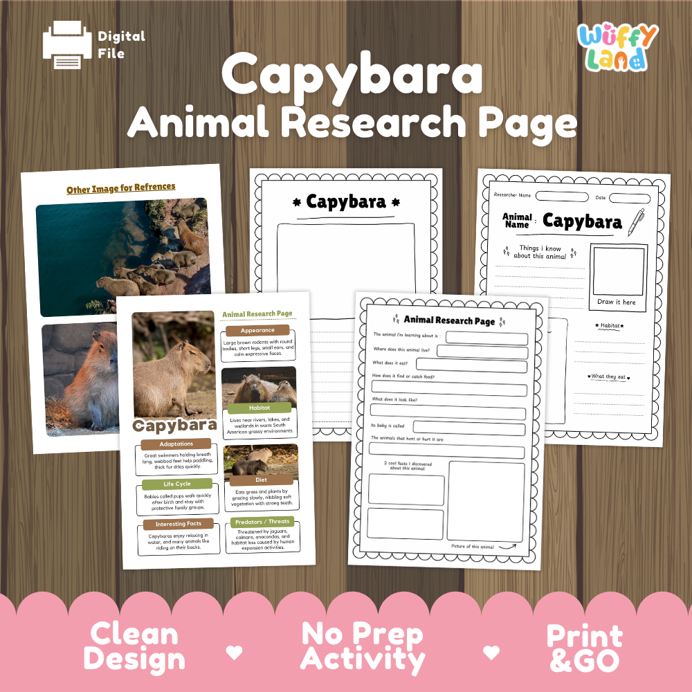 Capybara Animal Research Page Worksheets and Fact Sheet