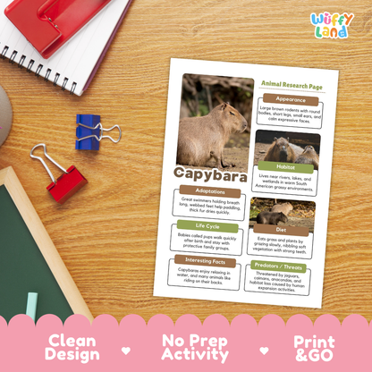 Capybara Animal Research Page Worksheets and Fact Sheet