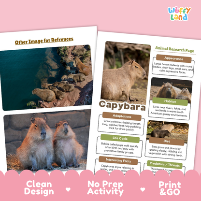 Capybara Animal Research Page Worksheets and Fact Sheet