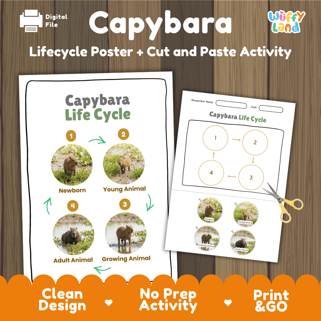 Capybara Life Cycle Poster and Cut and Paste Activity Worksheet