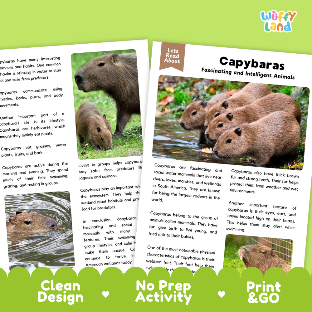 An educational activity booklet titled 'Capybaras: Fascinating and Intelligent Animals' by Wiffly Land, featuring a colorful cover with a photo of a capybara and text blocks. The booklet is displayed against a white background with green decorative banners at the bottom.