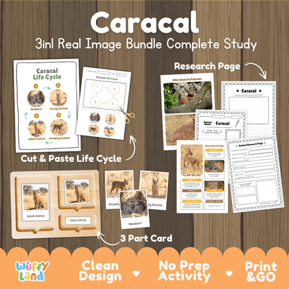 Caracal 3-in-1 real image bundle complete study cover showing cut and paste life cycle, 3 part cards, and research pages