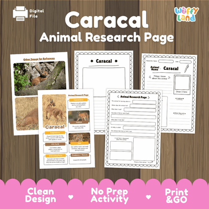 Digital preview of a Caracal Animal Research Page activity sheet set by Wiffy Land, displayed on a wood background with pink promotional banner at the bottom.