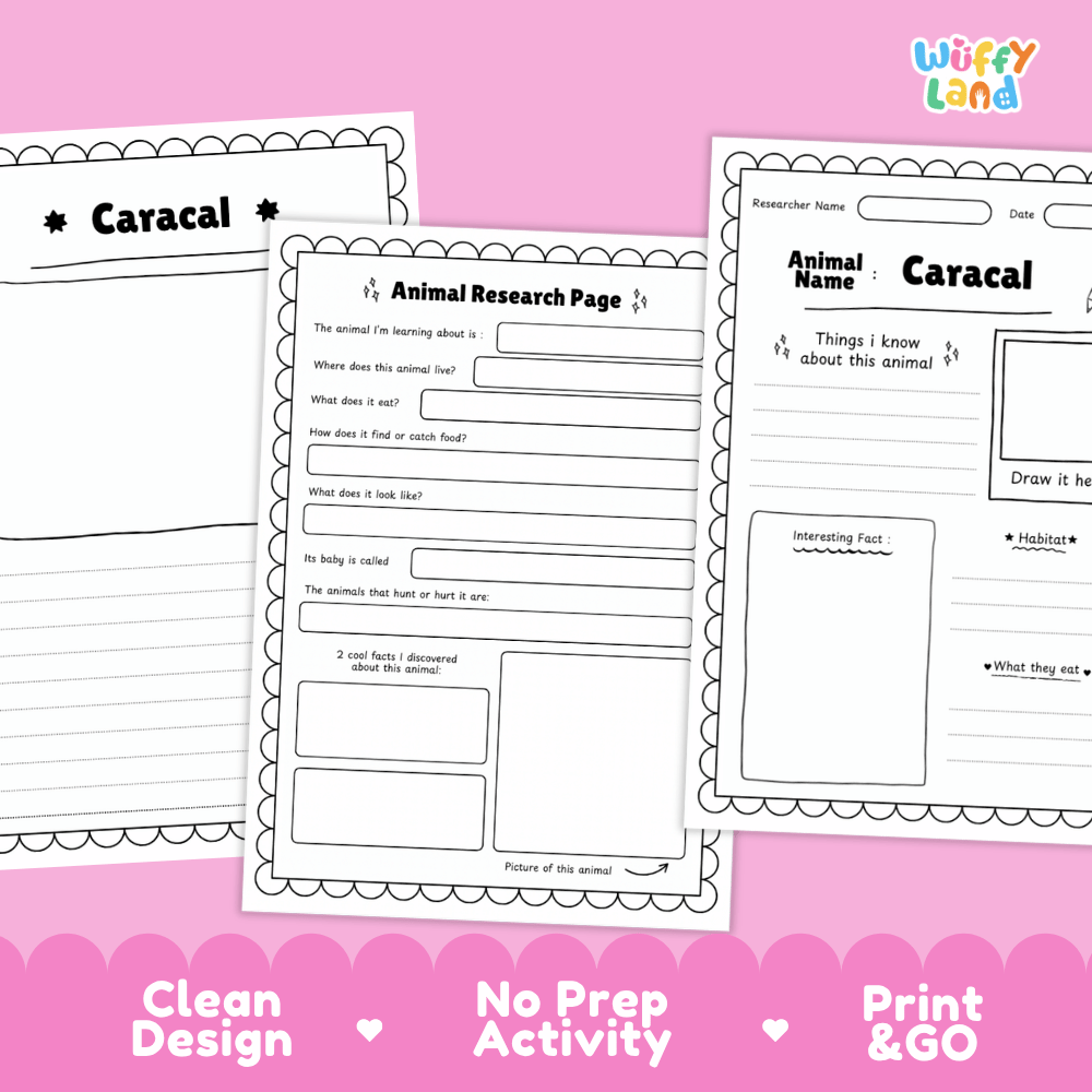 Three printable animal research activity sheets for caracals are displayed on a pink background with promotional text at the bottom. The sheets are black and white with lined writing areas, headings, and boxes for drawing and writing facts.