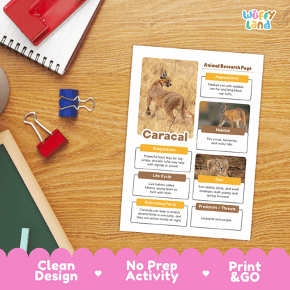 An educational animal research activity sheet about a caracal, styled in a flat-lay on a wooden desk with school supplies. The sheet features a clean layout with text boxes, animal photos, and a title.