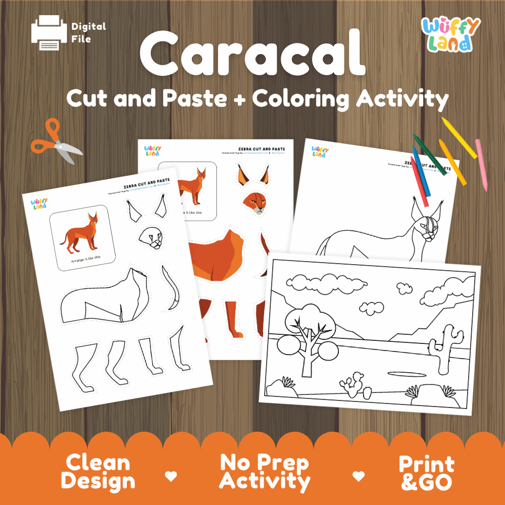Caracal Cut and Paste Craft and Coloring Pages Activity Worksheets
