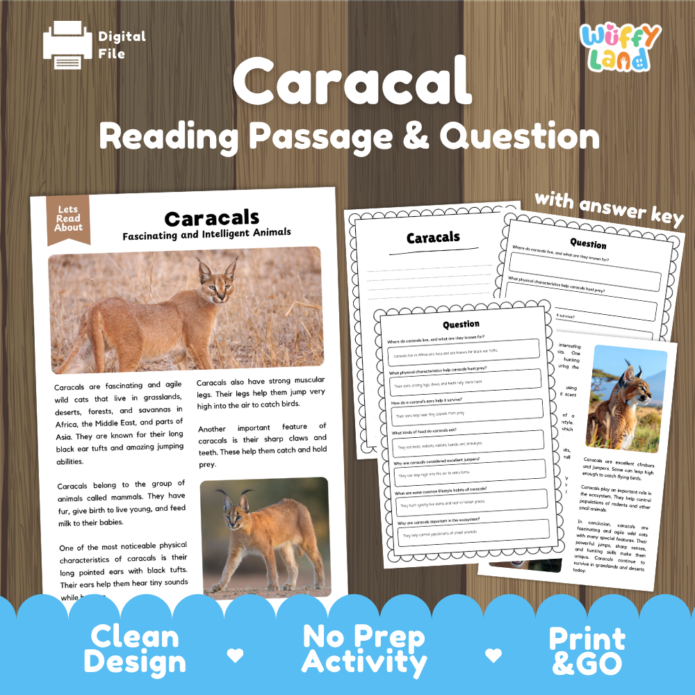 Digital reading activity bundle for 'Caracal Reading Passage & Question' by Wiffly Land, featuring a clean digital preview with sample pages, a caracal photo, and promotional text on a wood background.