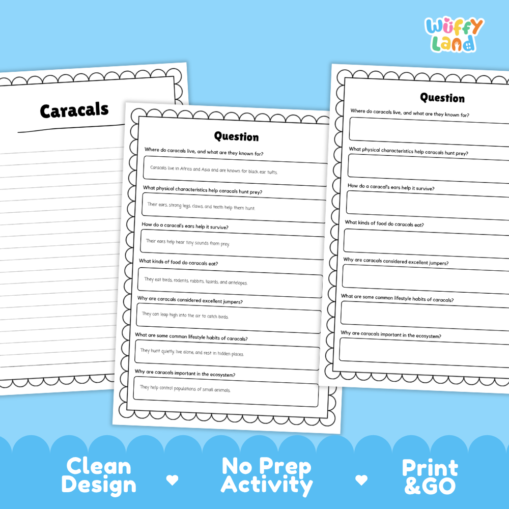 Three printable worksheet pages about caracals are shown on a blue promotional background. The pages have black text and lined writing areas, with the center sheet titled 'Question' and the left sheet titled 'Caracals.