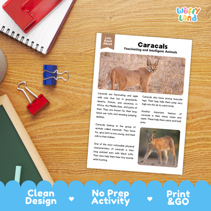 An educational activity sheet titled 'Caracals' laid out on a wooden desk with a red notebook, blue and red binder clips, and a pencil nearby. The sheet includes text about caracals and a small photo of a caracal.