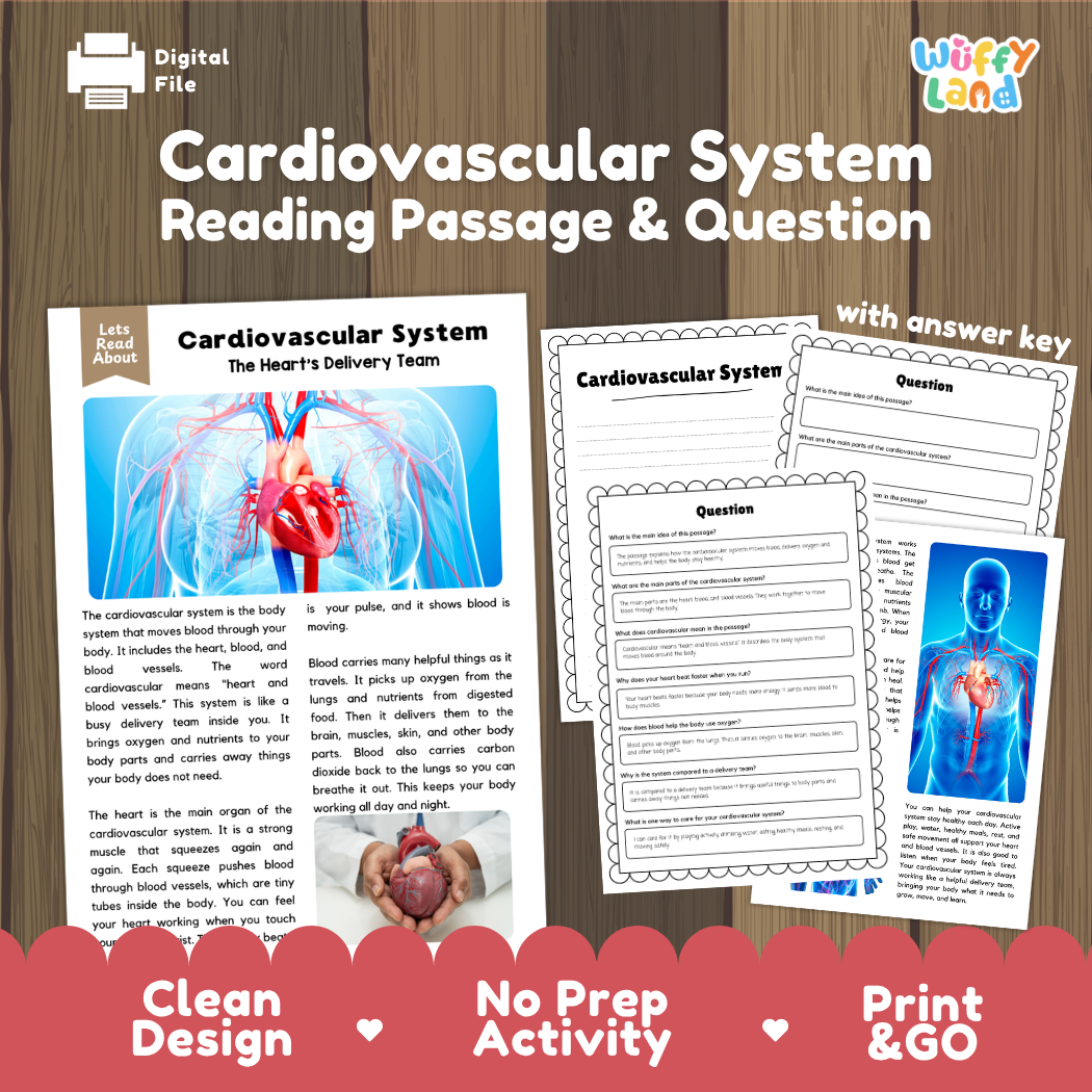 Cardiovascular system reading comprehension passage and questions printable activity pack with answer key for elementary students
