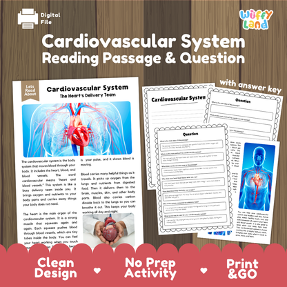 Cardiovascular system reading comprehension passage and questions printable activity pack with answer key for elementary students