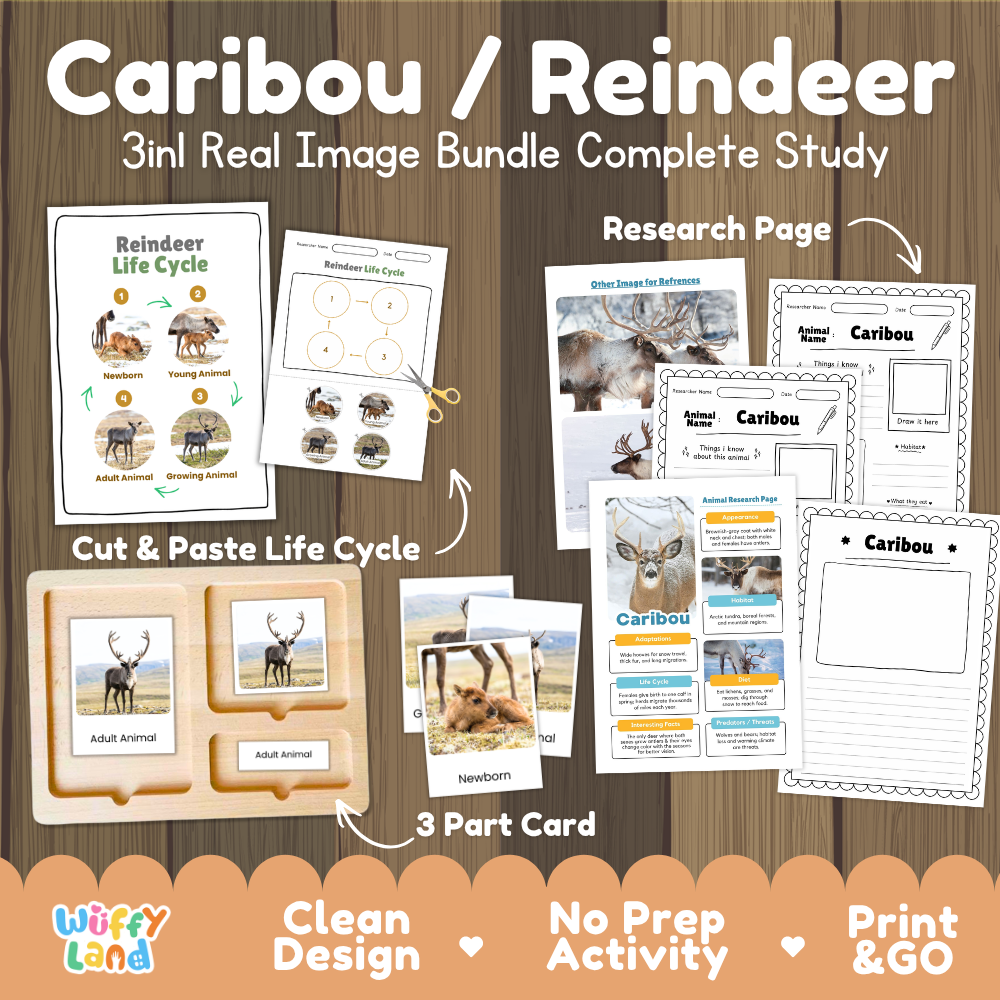 Caribou and Reindeer 3-in-1 real image bundle complete study cover showing cut and paste life cycle, 3 part cards, and research pages