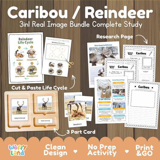 Caribou and Reindeer 3-in-1 real image bundle complete study cover showing cut and paste life cycle, 3 part cards, and research pages