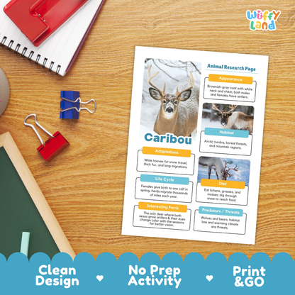 Caribou Animal Research Page Worksheets Writing Activity