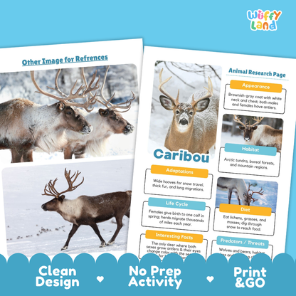 Caribou Animal Research Page Worksheets Writing Activity
