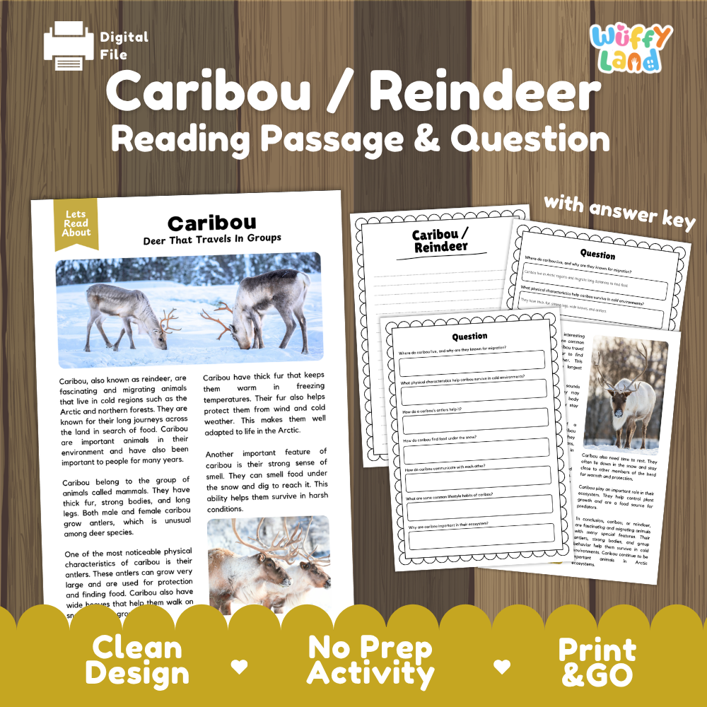 Digital reading activity bundle for Caribou / Reindeer, showing a printed lesson page with reindeer photos and text, two worksheet pages with answer key, and promotional text on a wood-look background.