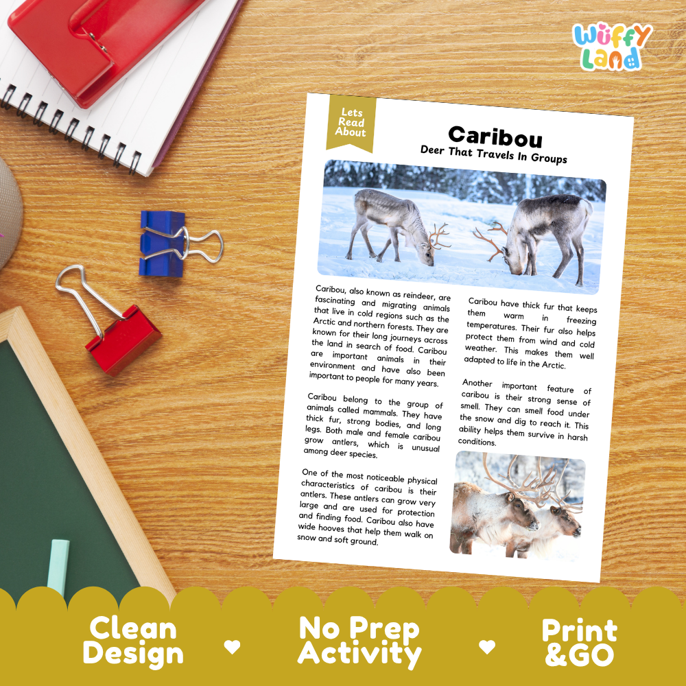 An educational activity sheet titled 'Caribou Deer That Travel in Groups' displayed on a wooden desk with a red spiral notebook, blue binder clips, and a yellow promotional banner at the bottom.