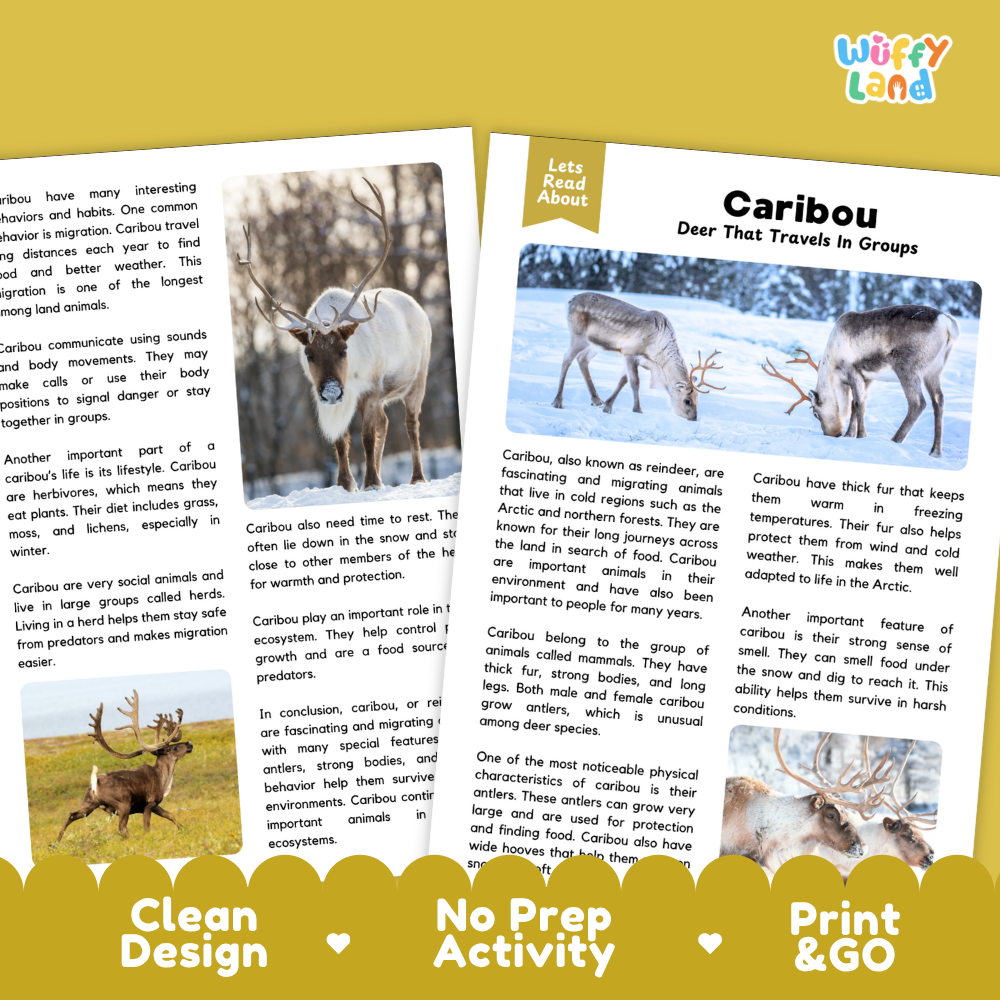Three educational activity sheets for learning about caribou, displayed on a yellow background with the brand name 'Wuffly Land' at the top. The sheets feature text, illustrations of caribou in natural settings, and a yellow 'Clean Design No Prep Activity Print & Go' banner at the bottom.