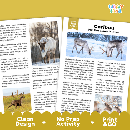 Three educational activity sheets for learning about caribou, displayed on a yellow background with the brand name 'Wuffly Land' at the top. The sheets feature text, illustrations of caribou in natural settings, and a yellow 'Clean Design No Prep Activity Print & Go' banner at the bottom.