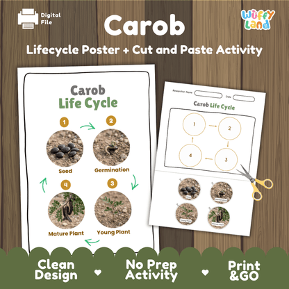 Carob tree life cycle educational poster and cut and paste printable sequencing activity featuring real photos for elementary science