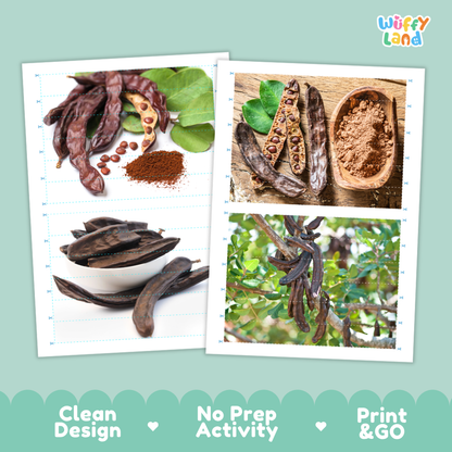 Printable activity sheets featuring photographic carob puzzle boards and cutting guides