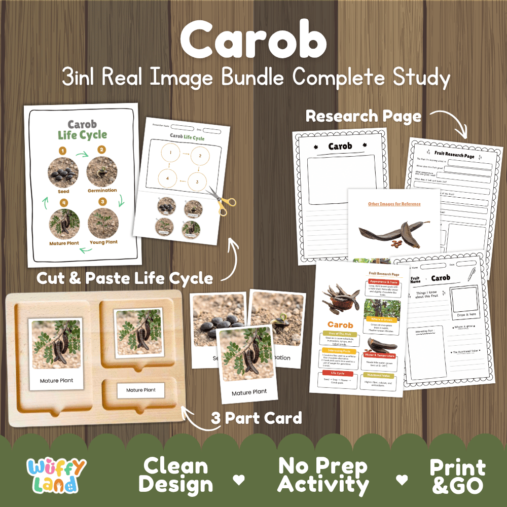 Carob tree life cycle 3in1 real image bundle complete study overview featuring cut and paste worksheets, Montessori 3-part cards, and research pages from Wuffy Land 🍫🌱