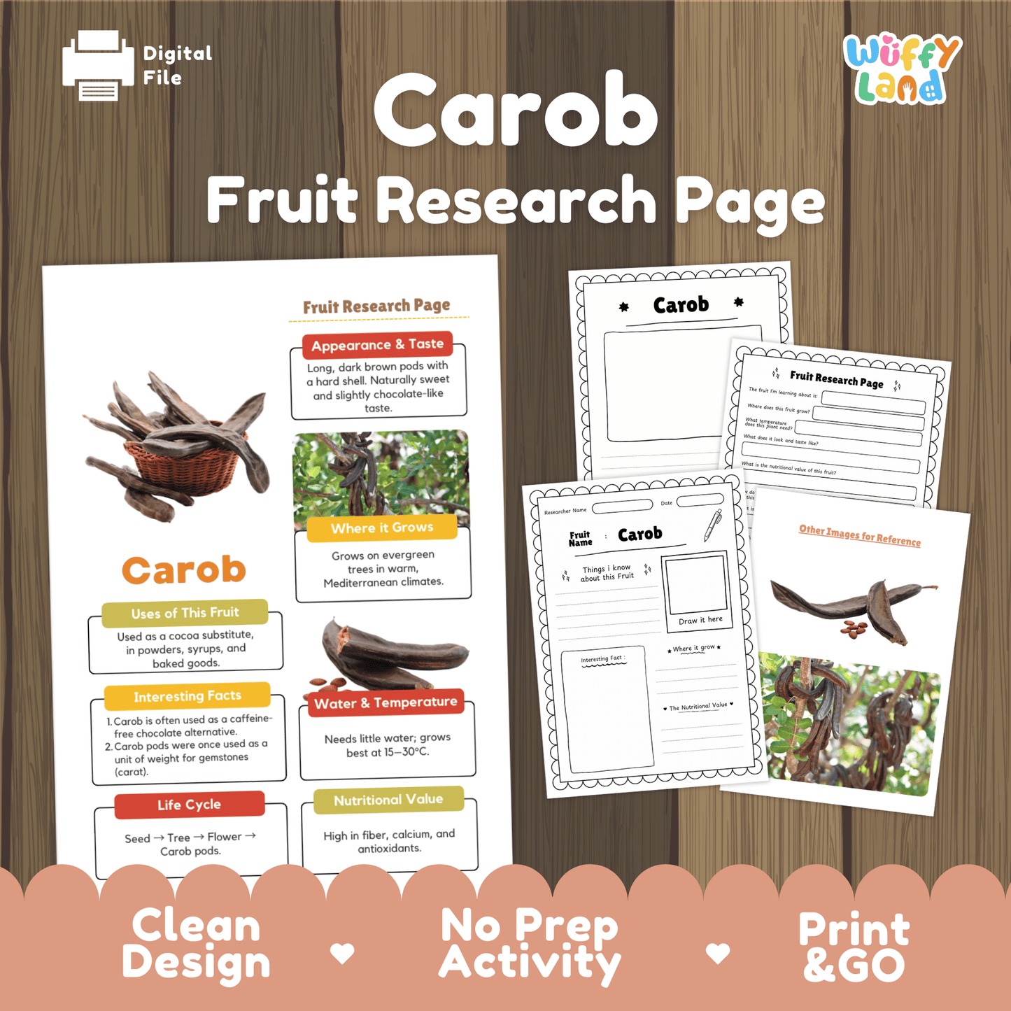 Carob Fruit Research Page Worksheet Activity | Science Healthy Eating