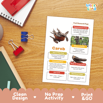 Carob Fruit Research Page Worksheet Activity | Science Healthy Eating